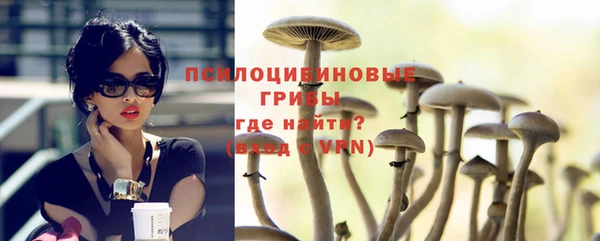 не бодяженный Алзамай