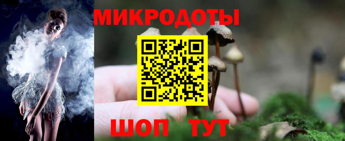 Ртищево  Галлюциногенные грибы Psilocybine cubensis  Галлюциногенные грибы мицелий  Вход с VPN 
